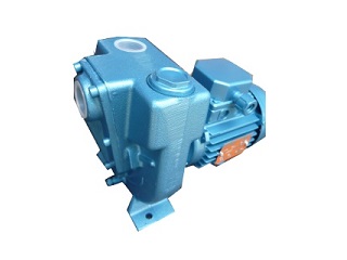 Alpha Pump-Moteur Pompe-01